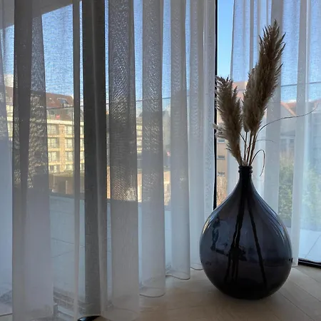 In Near Marina Daire