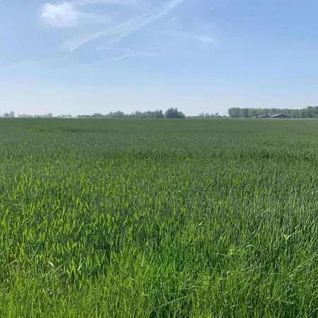 דירה In Near Marina *