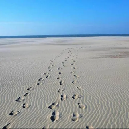 Daire In Near Marina