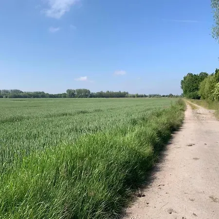 In Near Marina דירה *