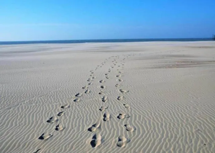 Apartment In Near Marina