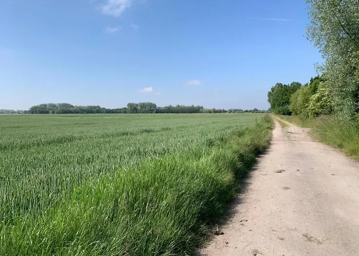 In Near Marina Apartment *