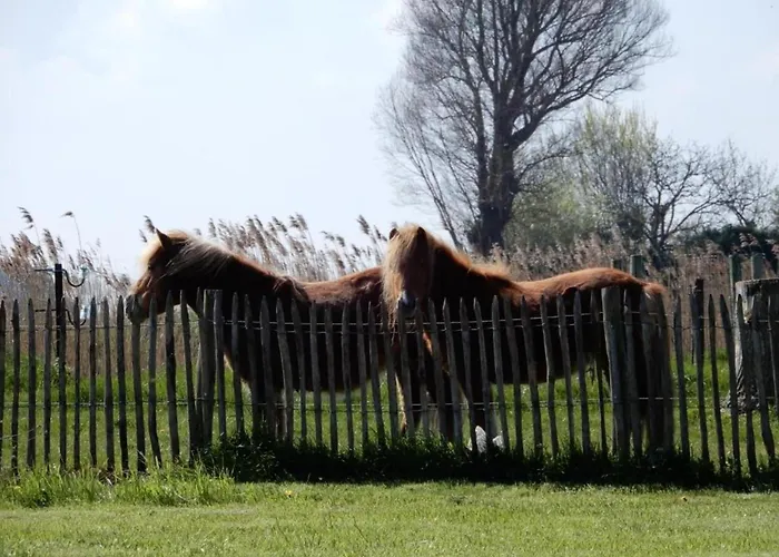 Apartment In Near Marina *