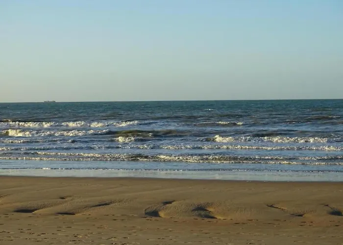 Apartment In Near Marina Nieuwpoort